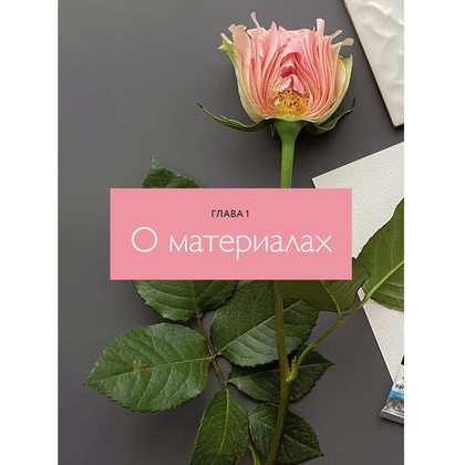 Книга "Прозрачные цветы акварелью. Рисуем в технике "рентген"", Ирина Толчина - 6