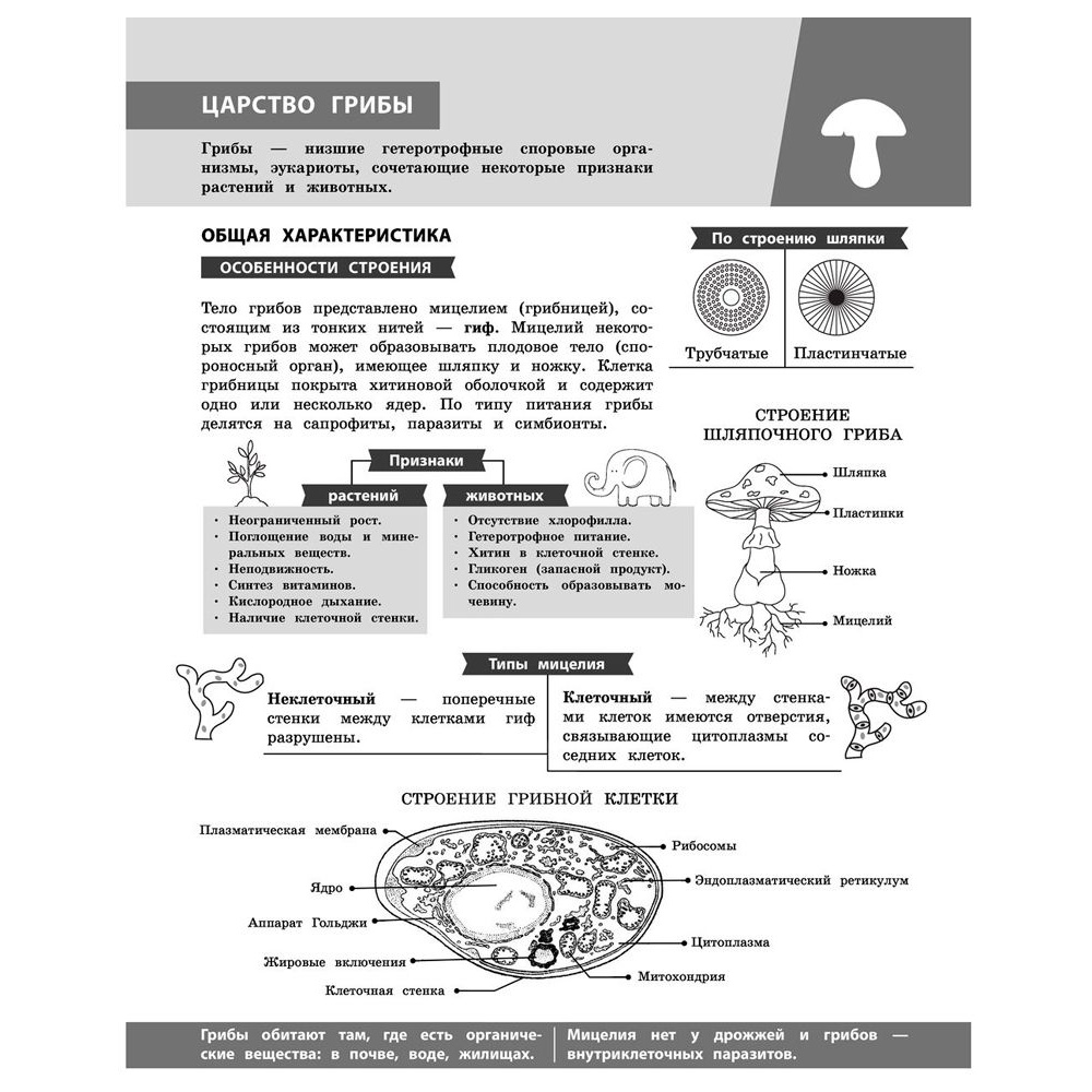 Книга "Биология в инфографике", Оксана Мазур - 7