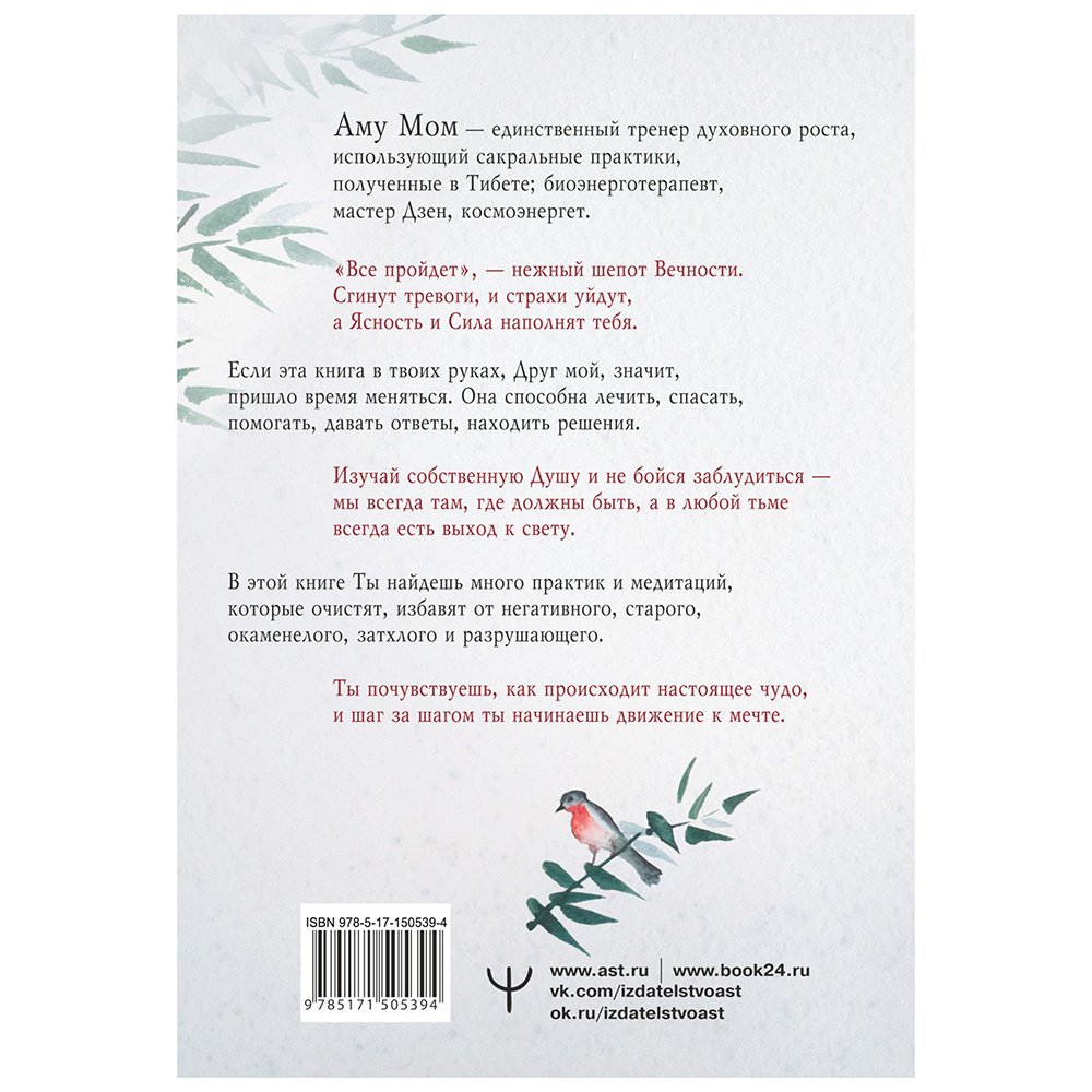 Книга "Книга Сердца. День за днем наполняй жизнь радостью, энергией и счастьем", Аму Мом - 6