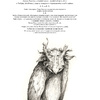 Книга "Тролли с иллюстрациями Брайана и Венди Фрауд", Фрауд Б., Фрауд В. - 6