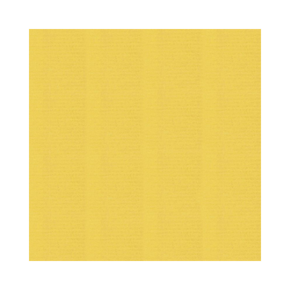 Бумага декоративная в рулоне "Coloured Kraft", 3x0,7 м, 65 г/м2, светло-зеленый - 6