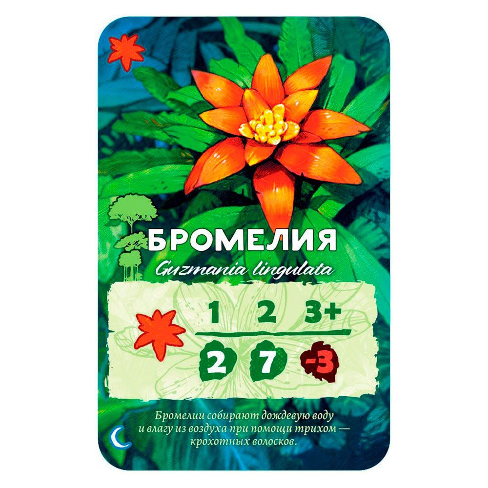 Игра настольная "Амазония" - 3