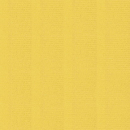 Бумага декоративная в рулоне "Coloured Kraft", 3x0,7 м, 65 г/м2, светло-зеленый - 6