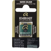 Краски акварельные "Rembrandt", 630 гранулированный зелёный, кювета