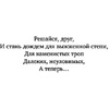 Книга "Код Твайфорд", Дженис Халлетт - 4