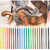 Набор цветных карандашей "Polychromos", 60 шт., в металлической упаковке - 2