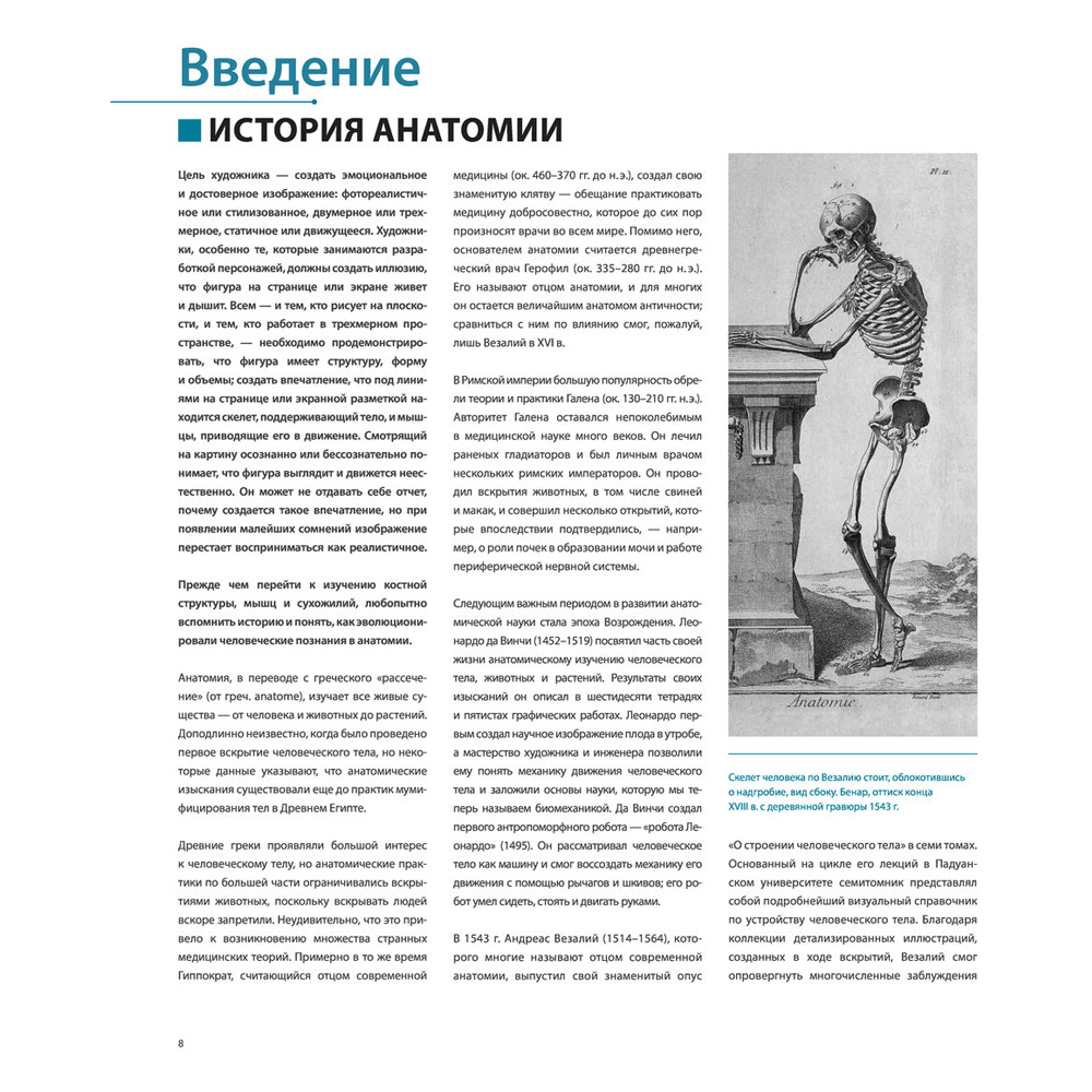 Книга "Фигура человека для художника. Большая книга анатомии, референсов и художественных поз" - 7