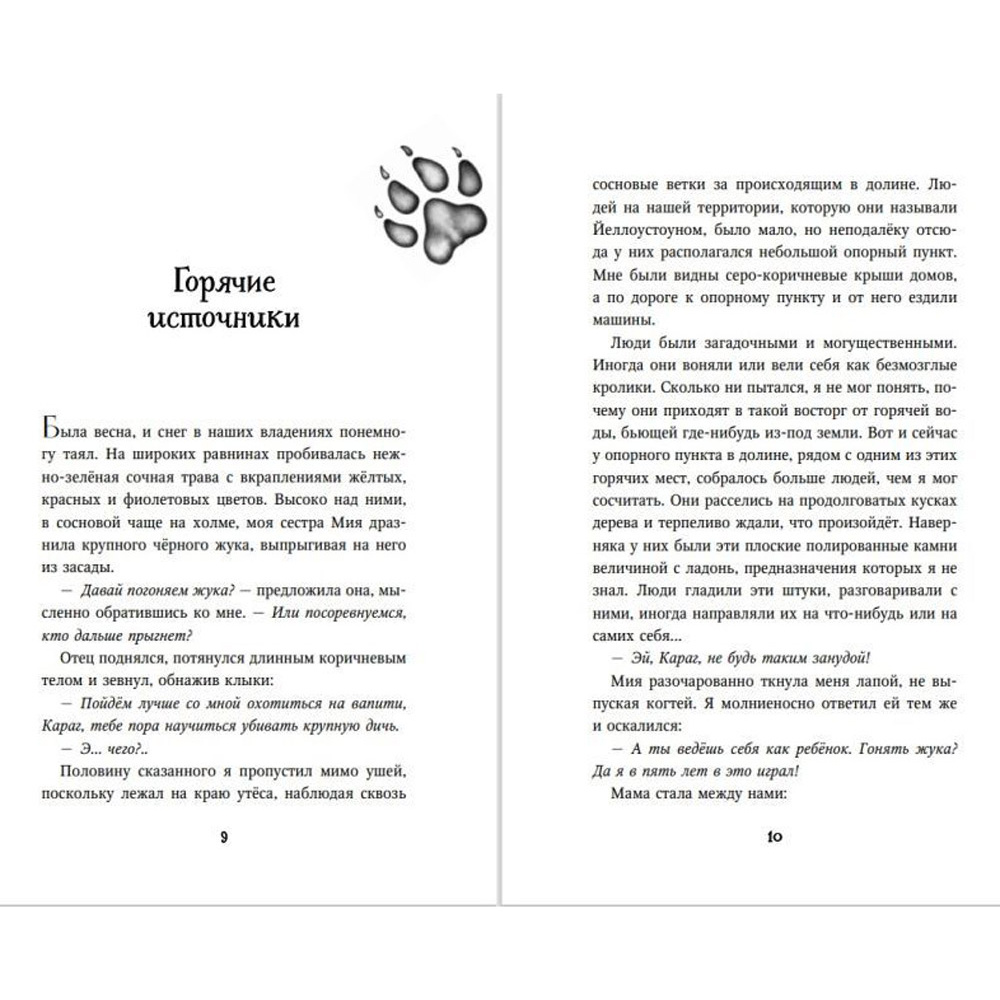Комплект из 3-х книг "Дети леса. Книги 1-3. Комплект с плакатом", Катя Брандис - 4