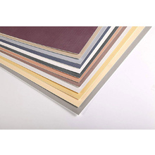 Бумага для пастели "PastelMat", 50x70 см, 360 г/м2, кукурузный