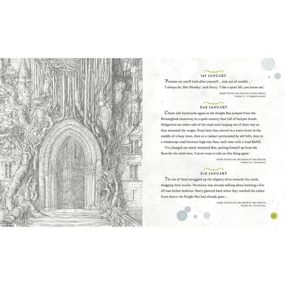 Книга на английском языке "Harry Potter – A Magical Year: The Illustrations of Jim Kay", Jim Kay - 4