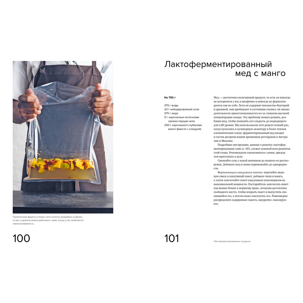 Книга "Гид по ферментации от Noma", Рене Редзепи, Дэвид Зильбер - 8