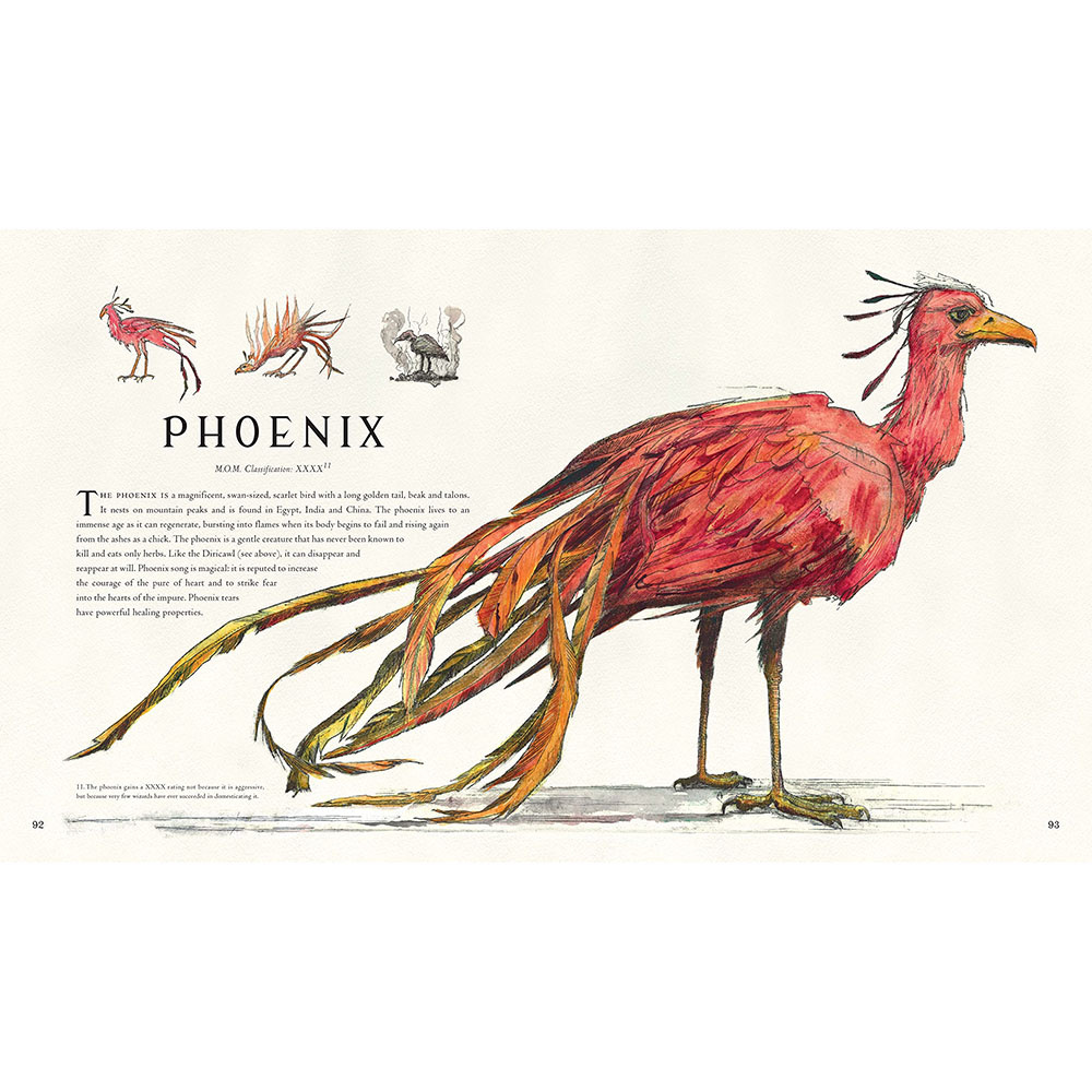 Книга на английском языке "Fantastic Beasts and Where to Find Them", J.K. Rowling, Olivia Lomenech Gill - 6