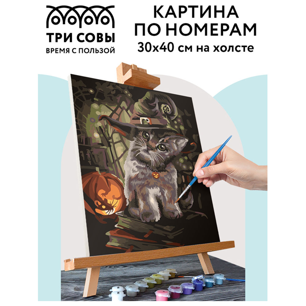 Картина по номерам "Заколдованный котик" - 2