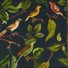 Блокнот "Птицы", 150x150 мм, 70 листов, клетка - 2