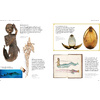 Книга на английском языке "Fantastic Beasts: The Wonder of Nature PB", Rowling J.K.  - 3