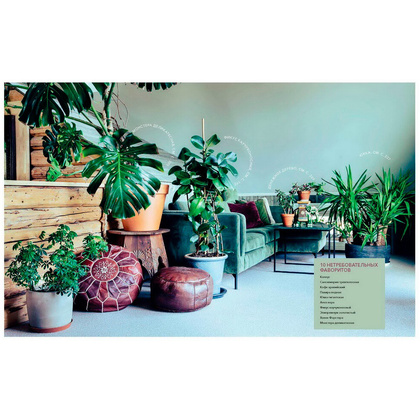 Книга "Urban Jungle. С любовью к растениям", Андерс Рёйнеберг, Эрик Шервен - 12