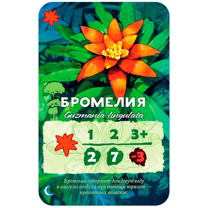 Игра настольная "Амазония" - 3