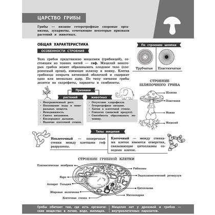 Книга "Биология в инфографике", Оксана Мазур - 7