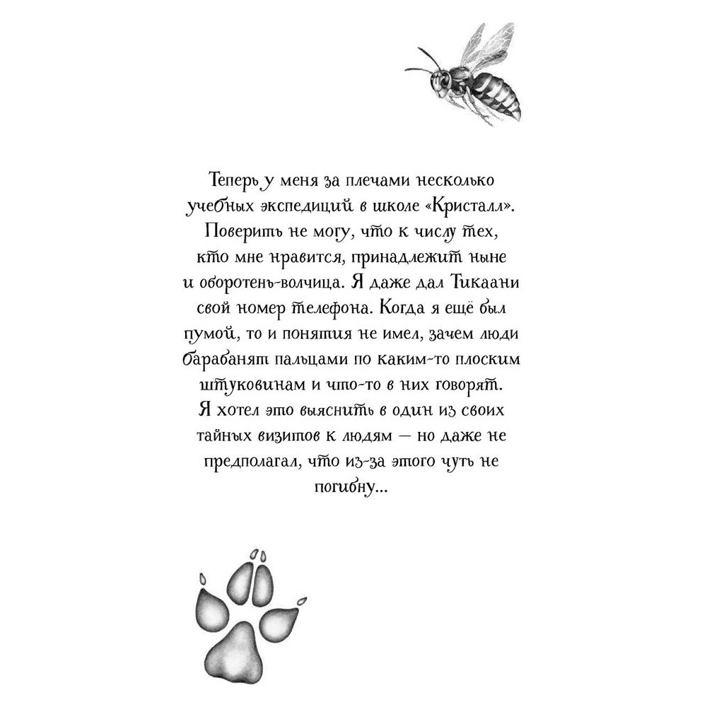 Книга "Тайна Холли (#3)", Катя Брандис - 3