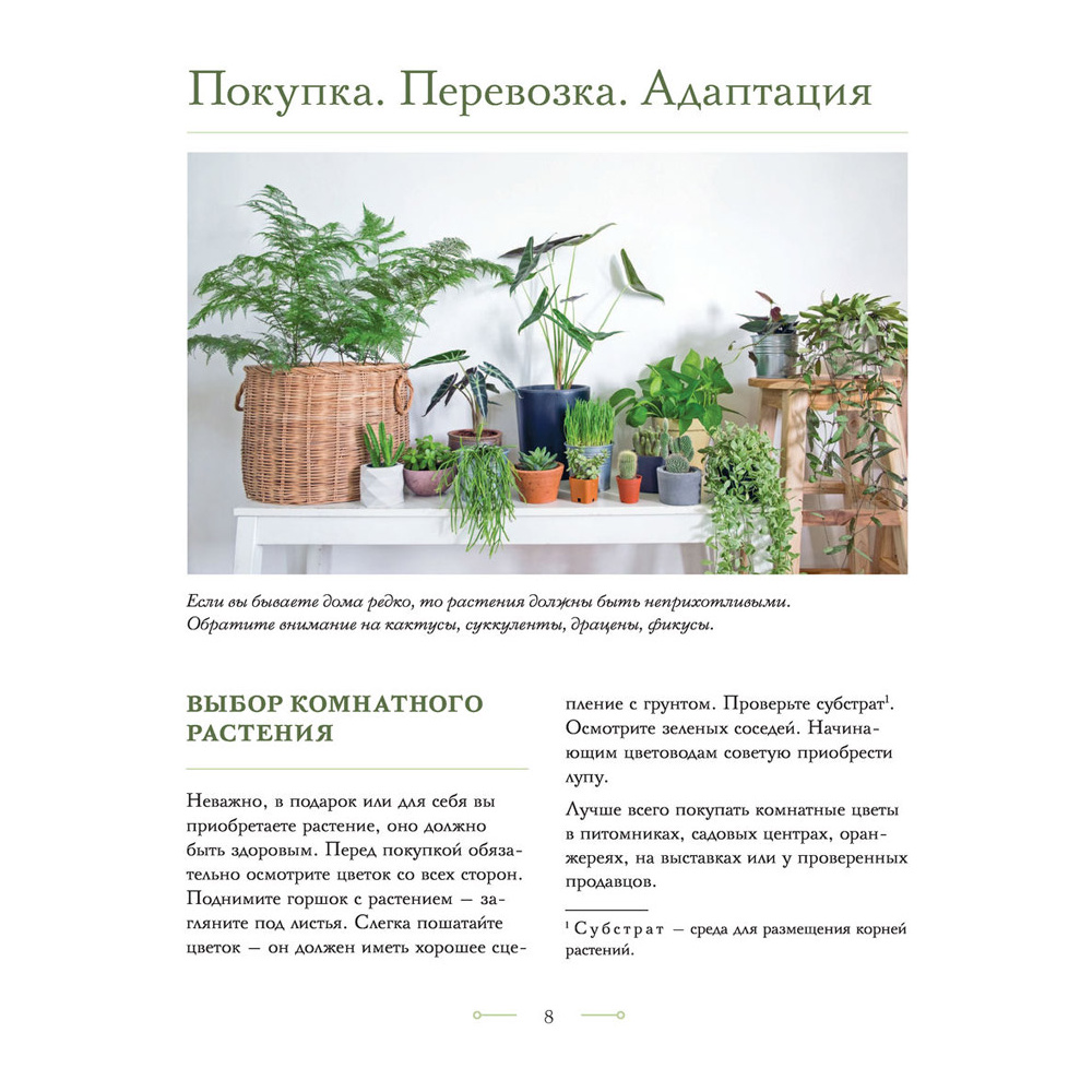 Книга "Цветок в горшке. Как посадить комнатные растения и не сесть в лужу", Ксения Занина - 8