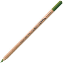Карандаш цветной "Rembrandt Polycolor", 073 оливковый