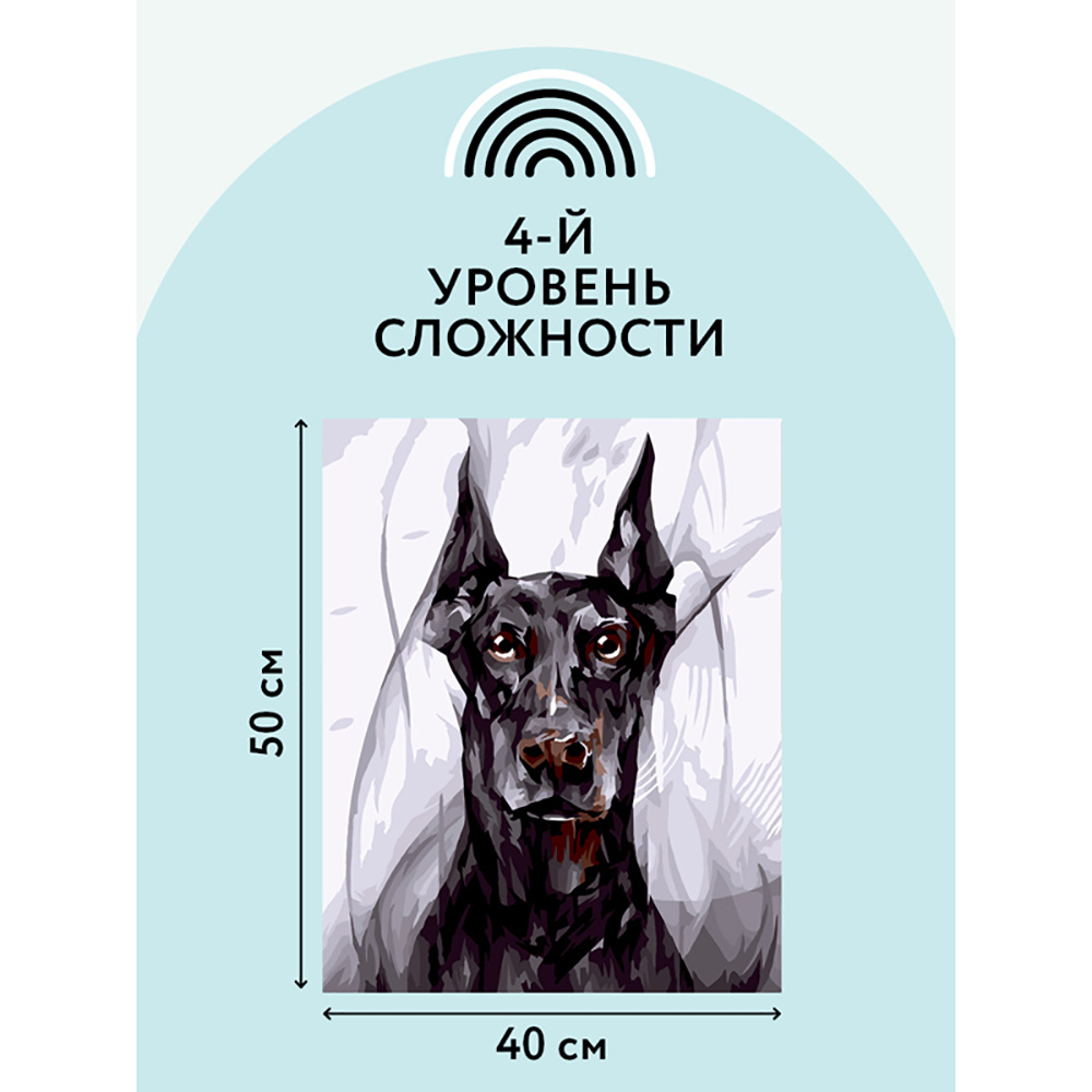 Картина по номерам "Доберман" - 4