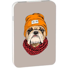 Внешний аккумулятор "Ritmix RPB-10007 BULLDOG", 10000 мА·ч