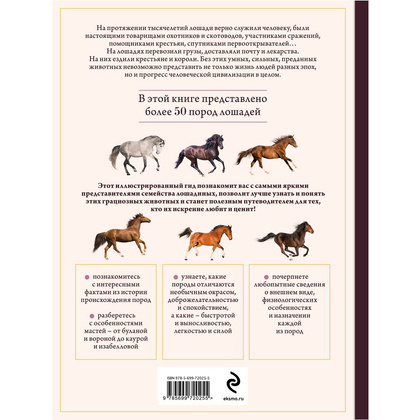 Книга "Лошади. Иллюстрированный гид по самым популярным породам", Людмила Семенова - 15