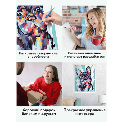 Картина по номерам "Яркий французский бульдог" - 6