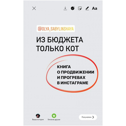 Книга "Из бюджета только кот. Книга о продвижении и прогревах в инстаграме", Оля Сабылинская