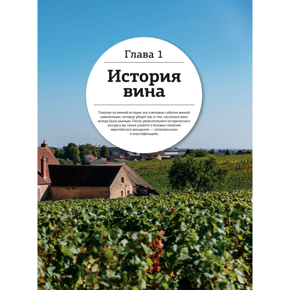 Книга "Просто о лучших винах. Новая энциклопедия" - 9