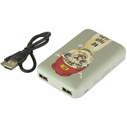 Внешний аккумулятор "Ritmix RPB-10007 Lama", 10000 мА·ч - 2