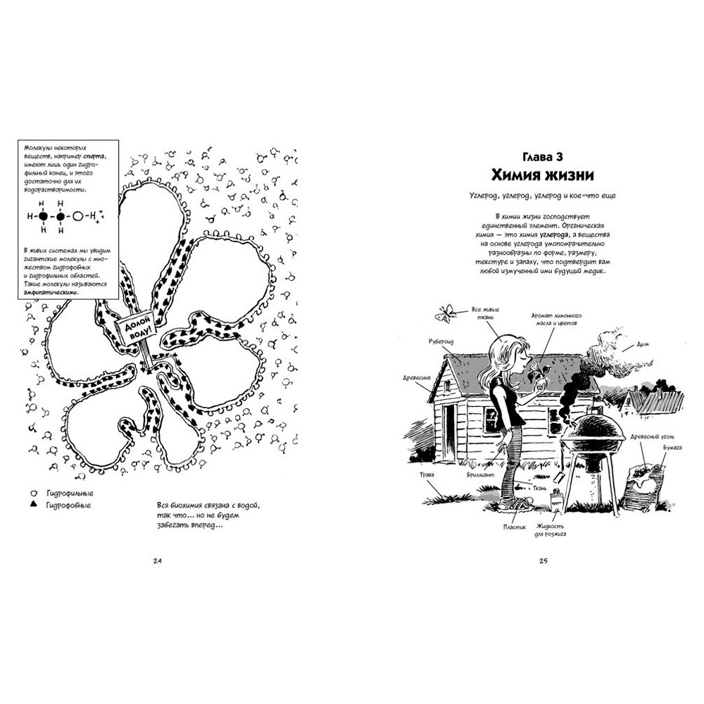 Книга "Биология. Краткий курс в комиксах", Гоник Л., Весснер Д. - 7