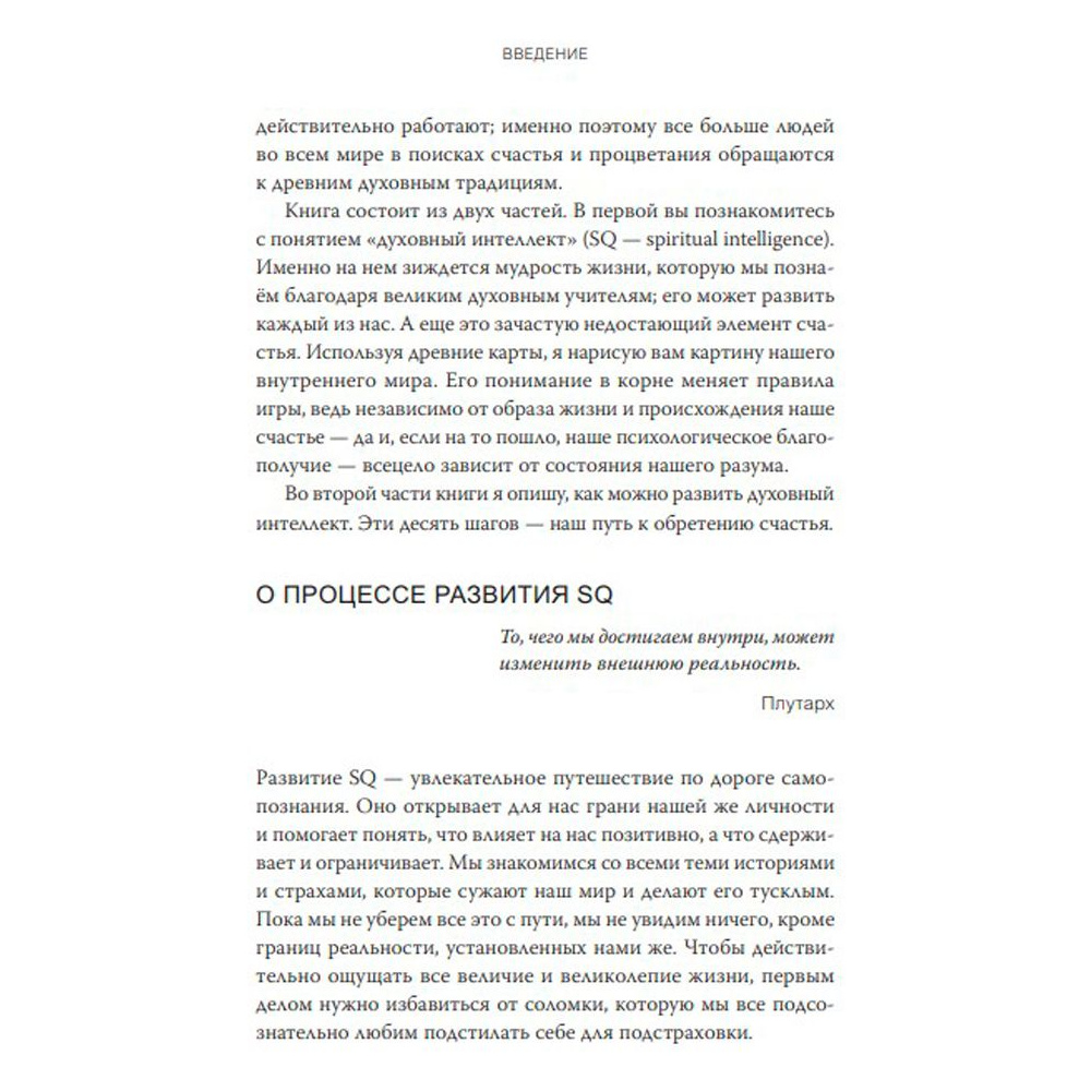 Книга "Духовный интеллект", Джо Боулби - 5