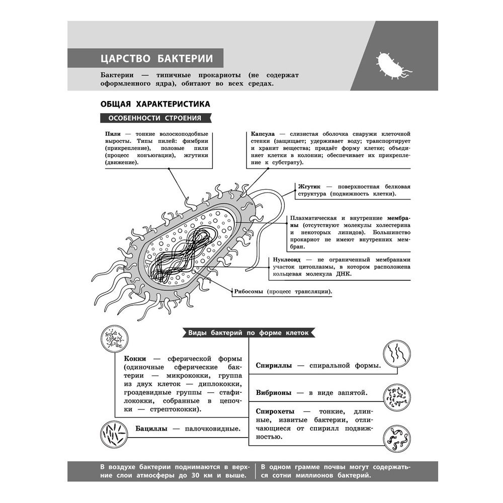 Книга "Биология в инфографике", Оксана Мазур - 5