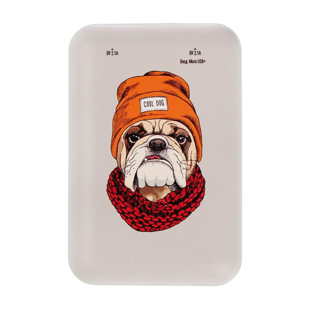 Внешний аккумулятор "Ritmix RPB-10007 BULLDOG", 10000 мА·ч