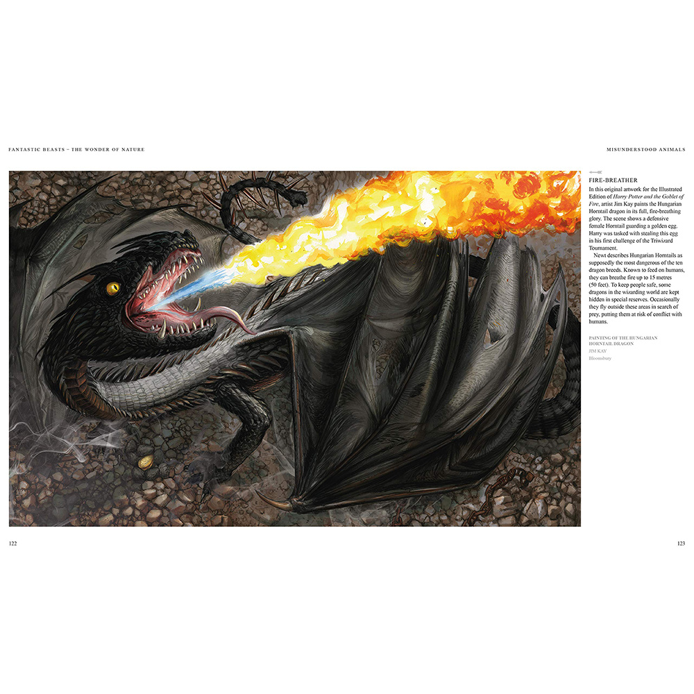 Книга на английском языке "Fantastic Beasts: The Wonder of Nature PB", Rowling J.K.  - 8