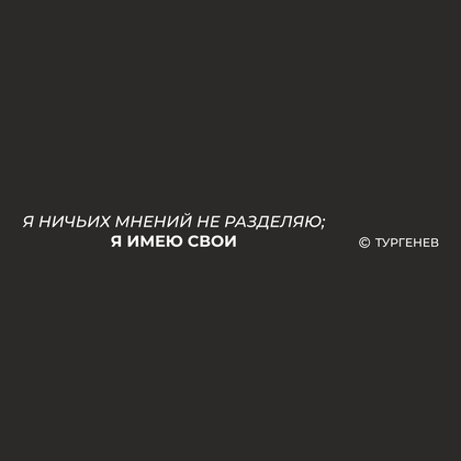Ручка шариковая автоматическая "Я ничьих мнений не разделяю, я имею свои. Тургенев", 1.0 мм, черный, стерж. синий - 2