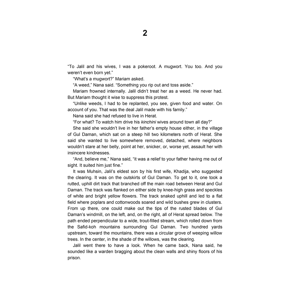 Книга на английском языке "A Thousand Splendid Suns", Khaled Hosseini  - 6