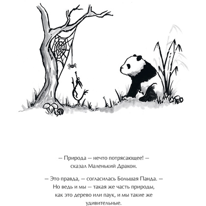 Книга "Большая Панда и Маленький Дракон: медитативная история", Джеймс Норбури - 12