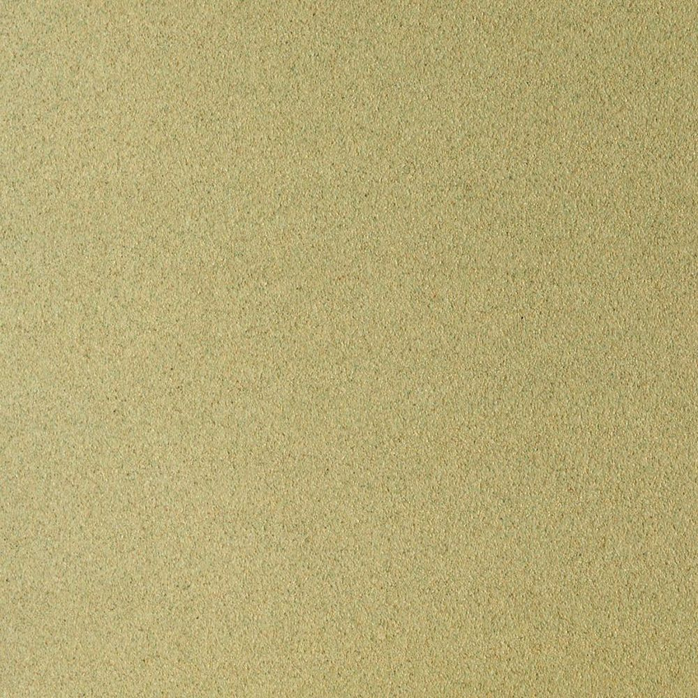Бумага для пастели "Pastel Card", 50x65 см, 360 г/м2, светло-зеленый