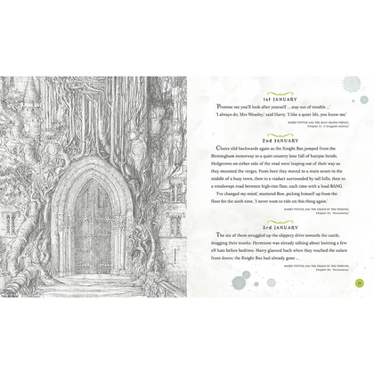 Книга на английском языке "Harry Potter – A Magical Year: The Illustrations of Jim Kay", Jim Kay - 4