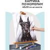 Картина по номерам "Доберман" - 2