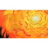 Книга на английском языке "Harry Potter – A Magical Year: The Illustrations of Jim Kay", Jim Kay - 5