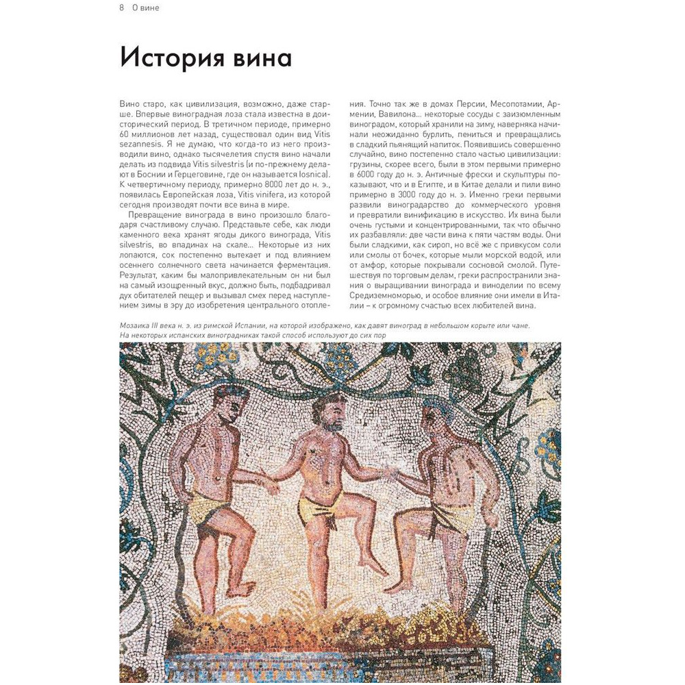 Книга "Мир вина. Вина, сорта, виноградники", Кларк Оз - 7