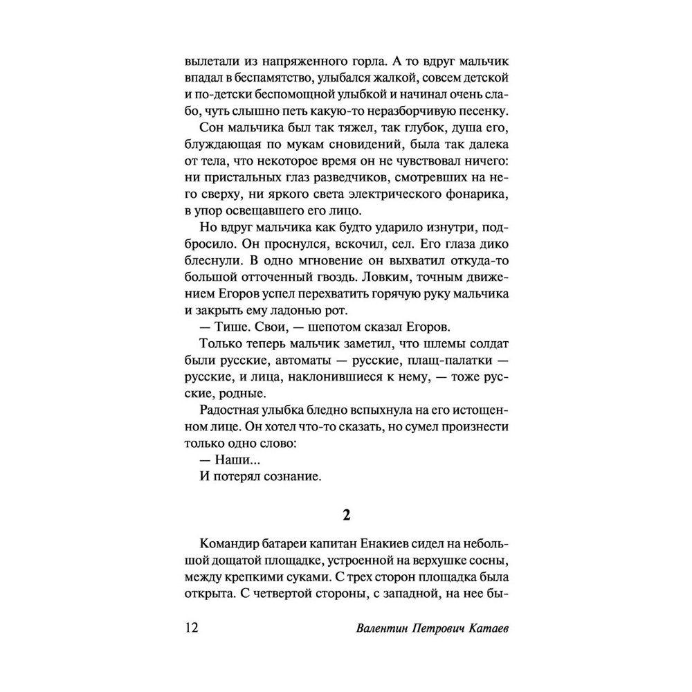 Книга "Сын полка. Белеет парус одинокий", Катаев В. - 13