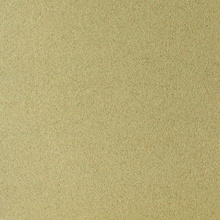 Бумага для пастели "Pastel Card", 50x65 см, 360 г/м2, светло-зеленый