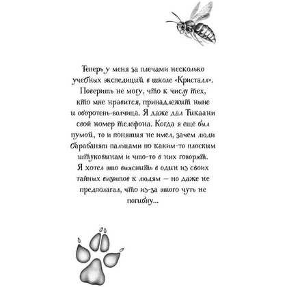 Книга "Тайна Холли (#3)", Катя Брандис - 3