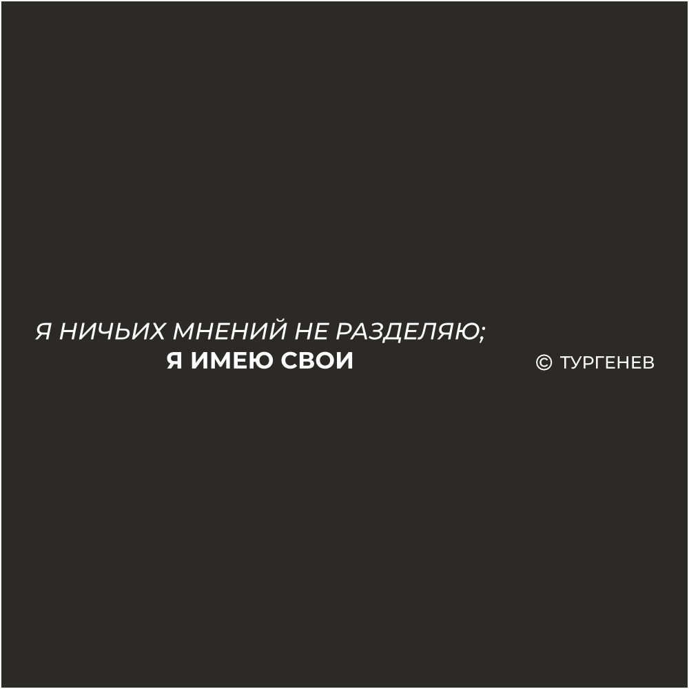 Ручка шариковая автоматическая "Я ничьих мнений не разделяю, я имею свои. Тургенев", 1.0 мм, черный, стерж. синий - 2