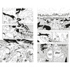 Книга "Naruto. Наруто. Книга 8. Перерождение", Масаси Кисимото - 5